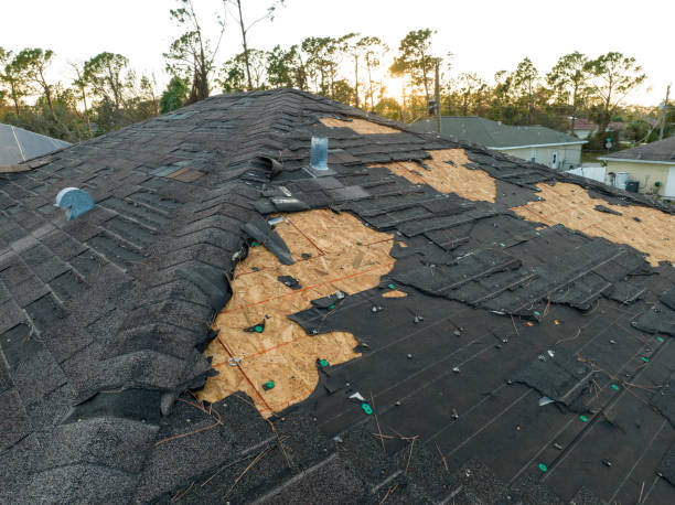 Best Roof Leak Repair  in Graceville, FL